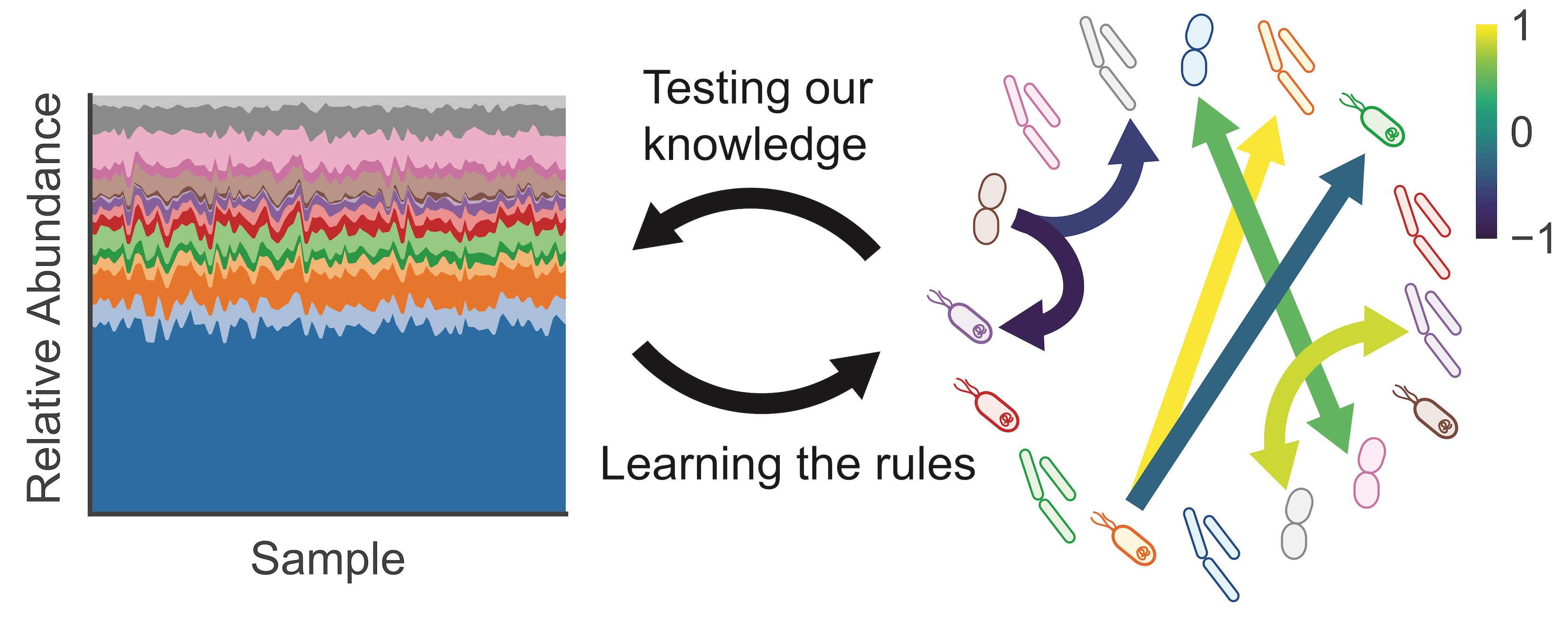 Inferring microbial interactions from relative abundance: not as easy as you would think