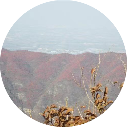 Go to the profile of Shaopu