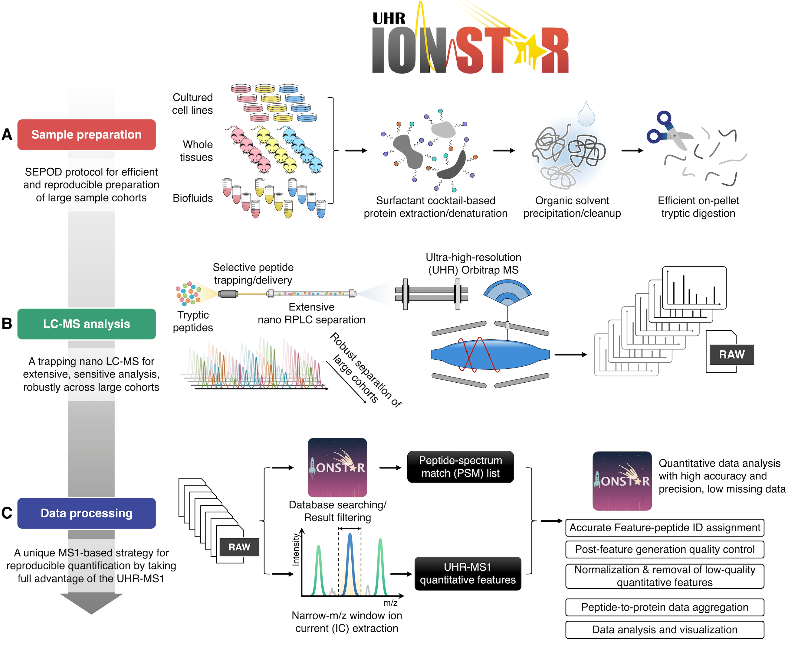 High-quality and robust protein quantification in large clinical/pharmaceutical cohorts with IonStar proteomics investigation