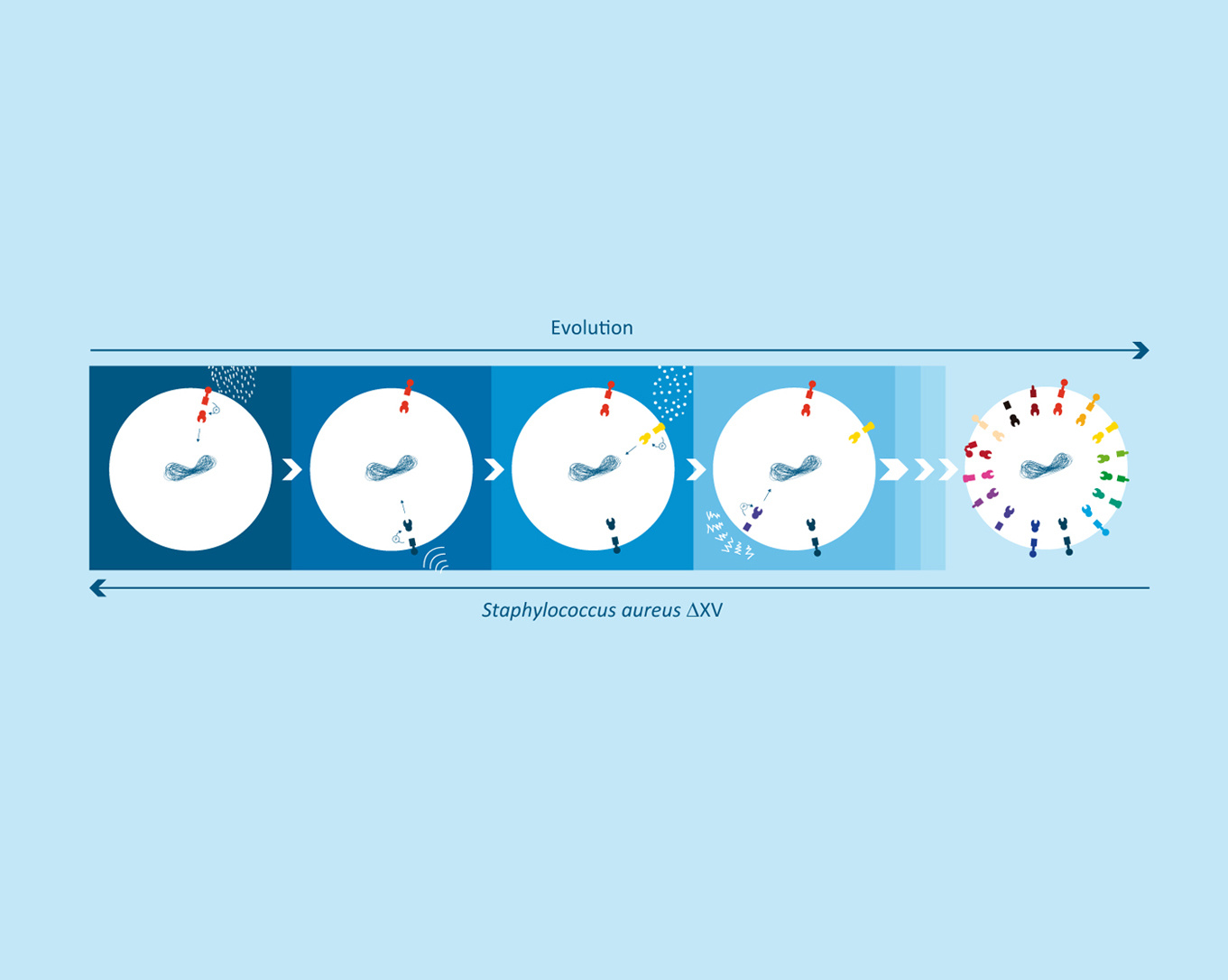 Life without sensing