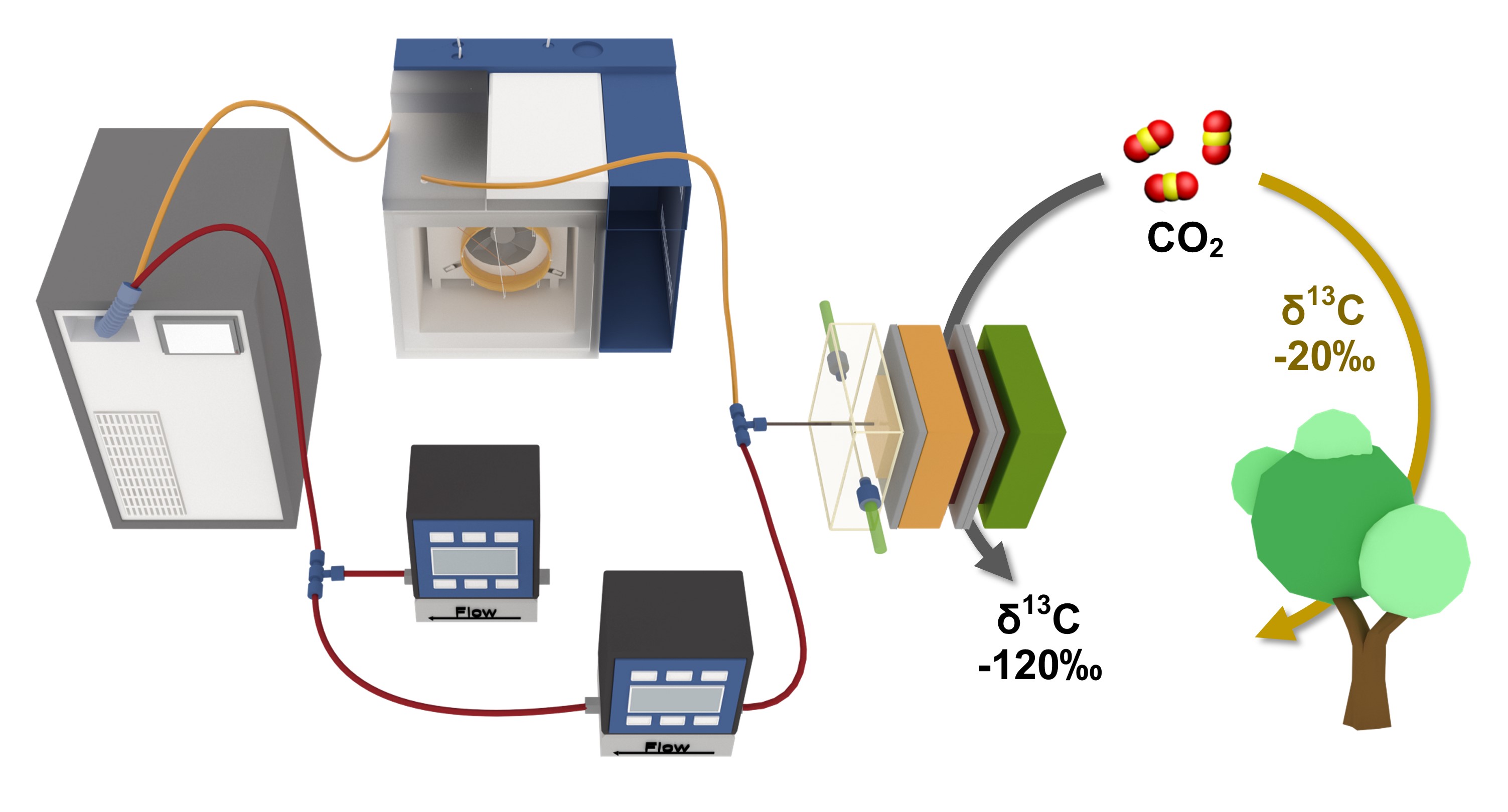 Tracking carbon isotope discrimination to unravel complex reaction networks