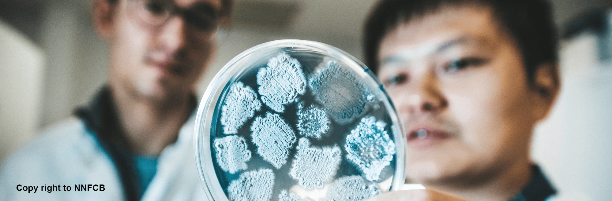 The BEST is coming: Streptomyces natural products meet CRISPR toolkit