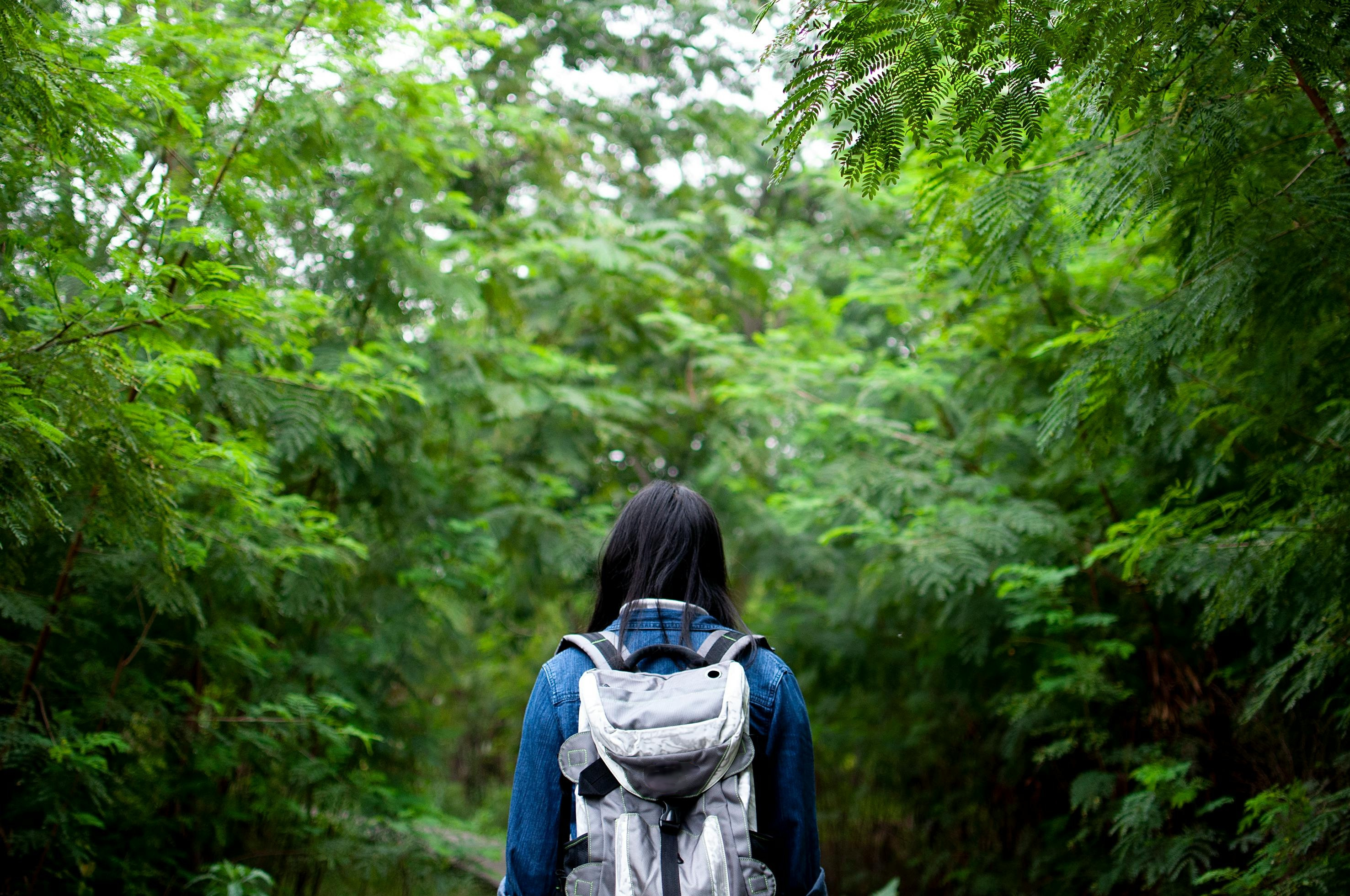 Biodiverse nature near cities offers mental health boost