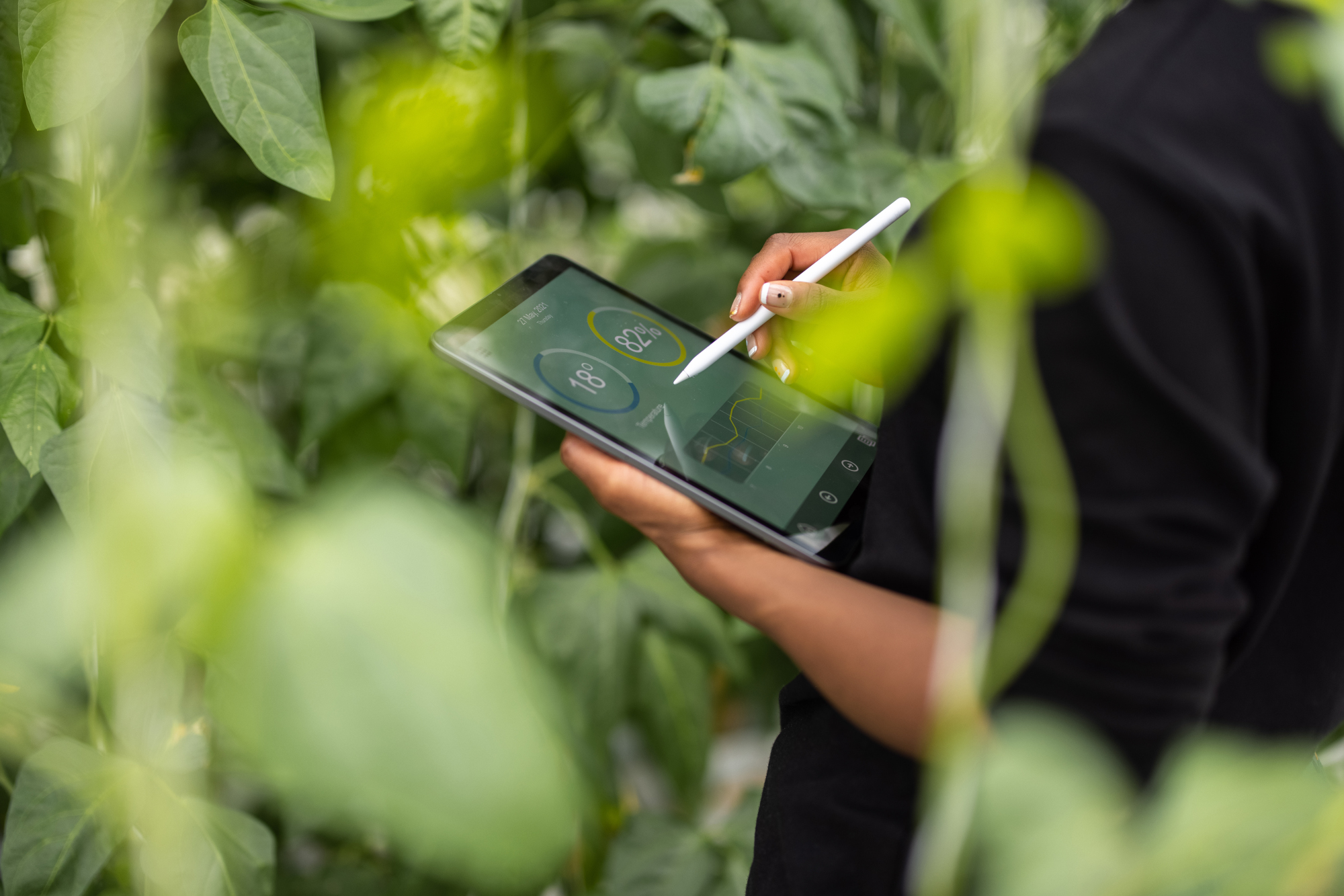 Call for papers: AI-Driven Smart Agriculture for Sustainable Food Systems