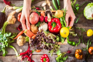 Upcoming webinar: Food Security and Sustainability from a Microbiology Perspective