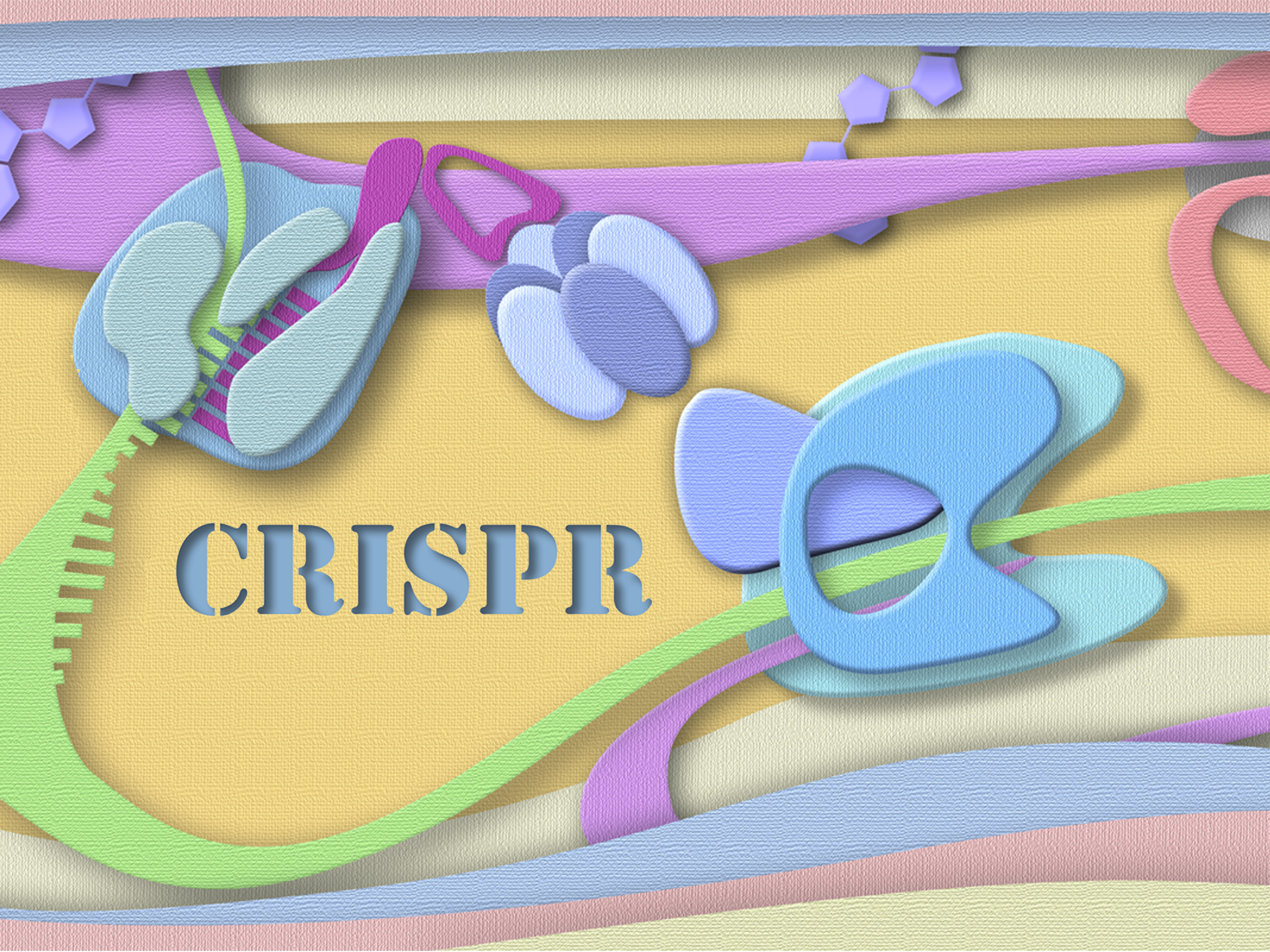 A eukaryote-like bacterial CRISPRa with ultrahigh dynamic ranges