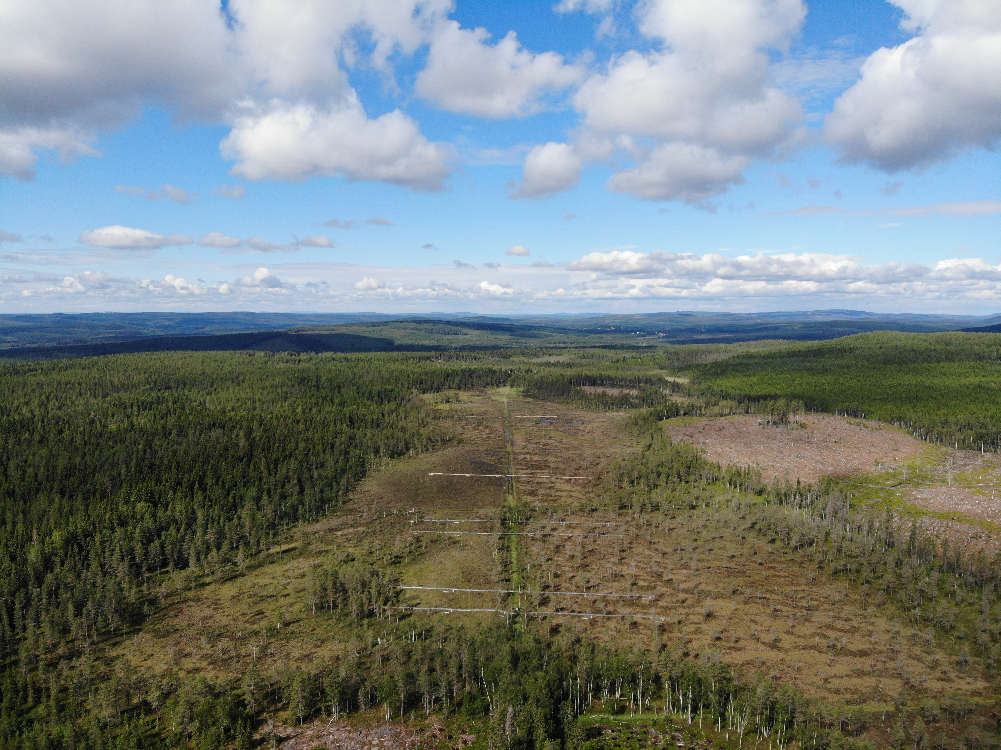 Managing the legacy of historical drainage ditches in boreal peatlands: exploring the effect on water quality and greenhouse gas fluxes