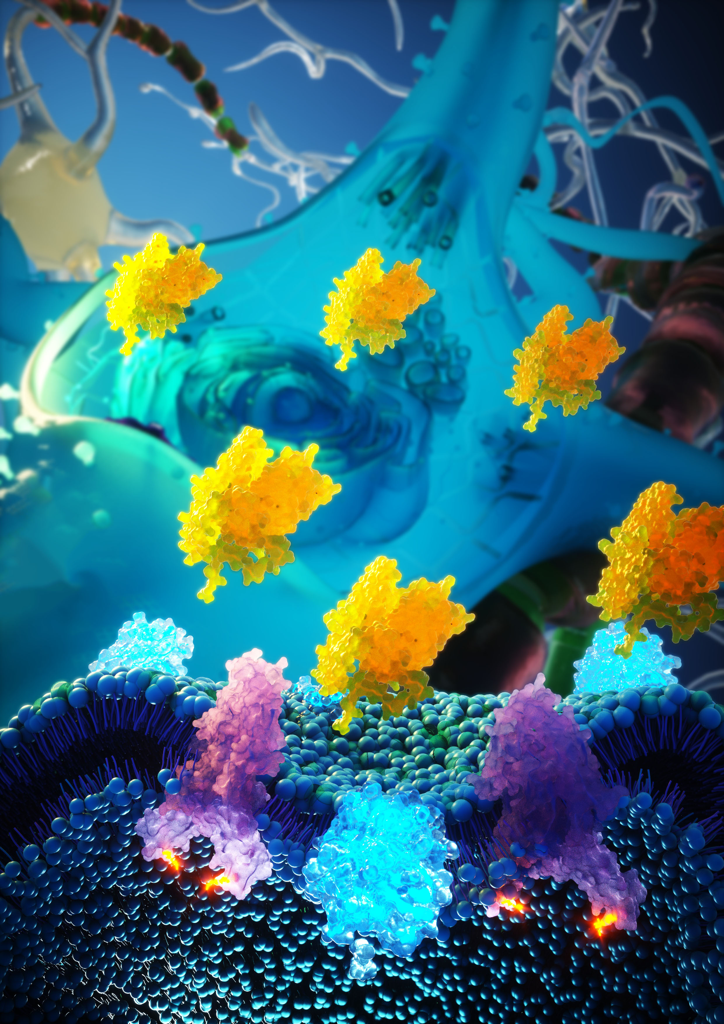 More neurons, less Alzheimer's: from zebrafish to mammals