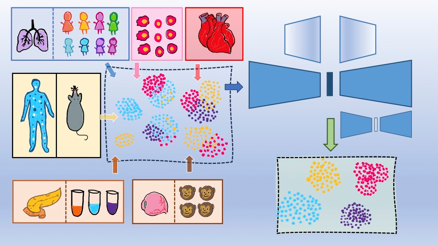 Integrating Single-cell Atlases with scDREAMER
