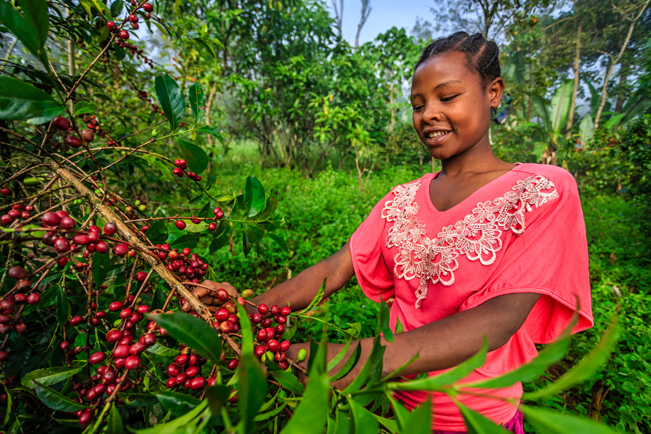 Can We Feed the Future Without Sacrificing Nature? A World Food Day Conversation with Florencia Montagnini