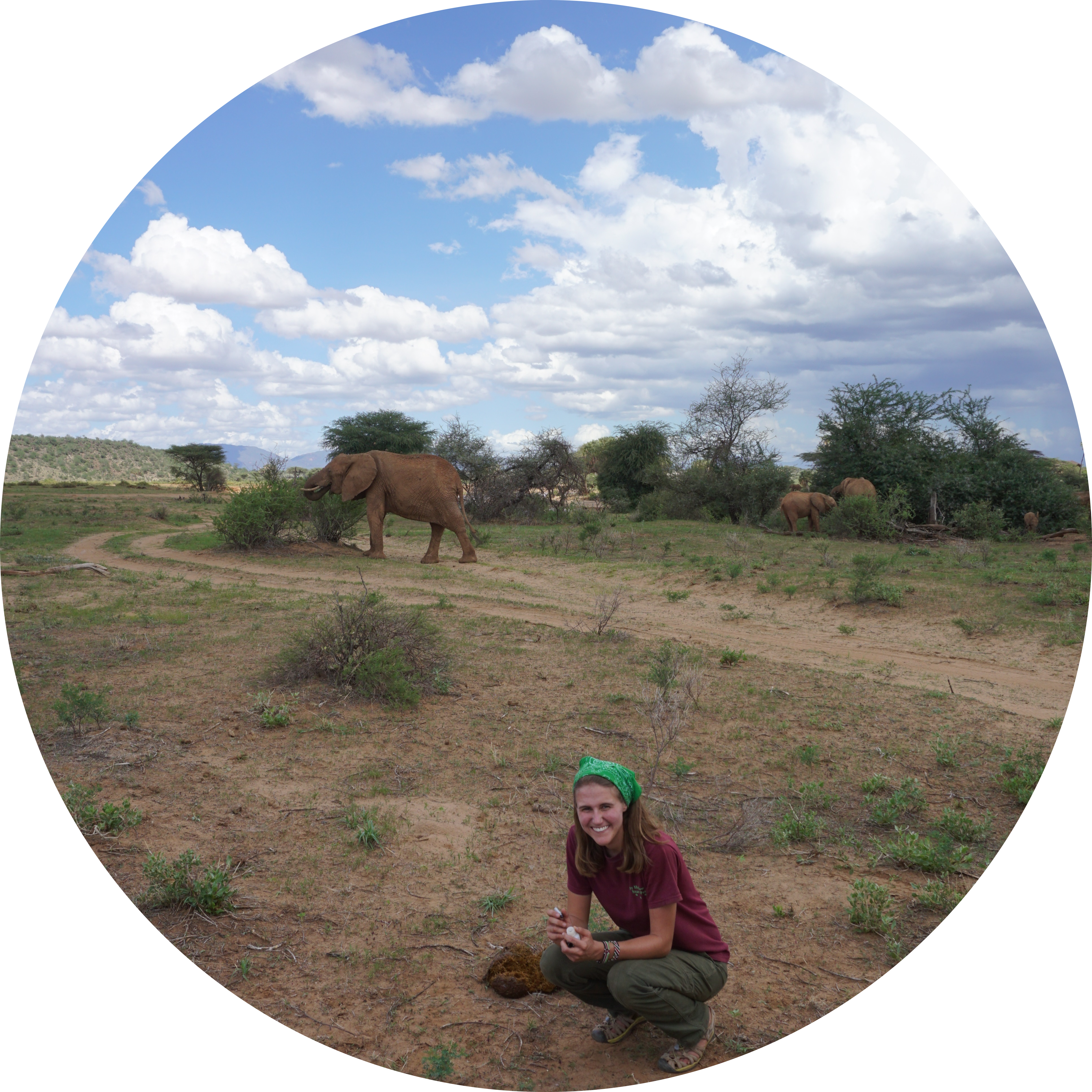 Go to the profile of Jenna Parker