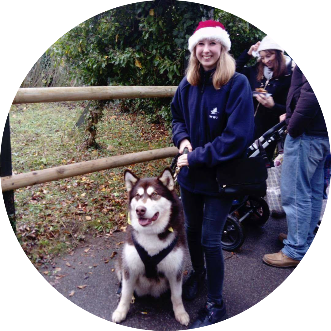 Go to the profile of Daisy Pinn