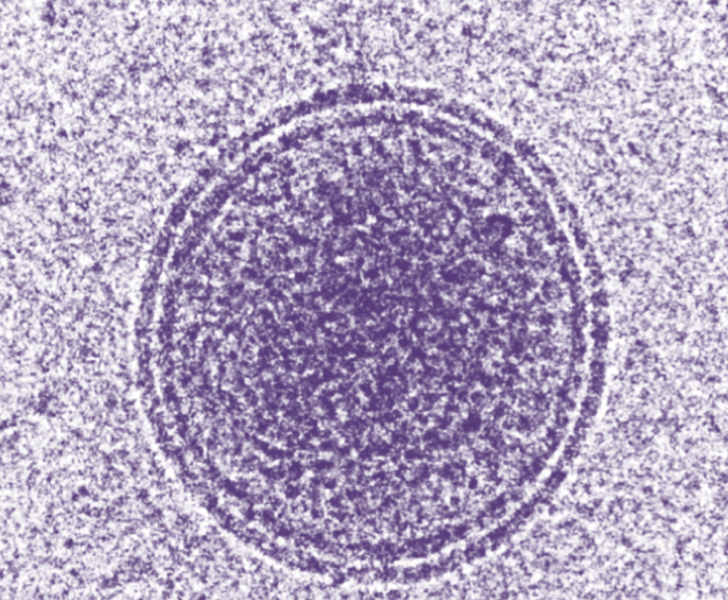 Vesiclemia