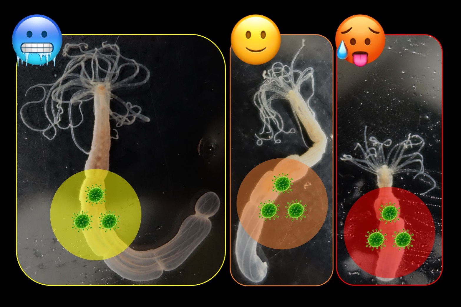 Worried about climate change? Microbes might save you!