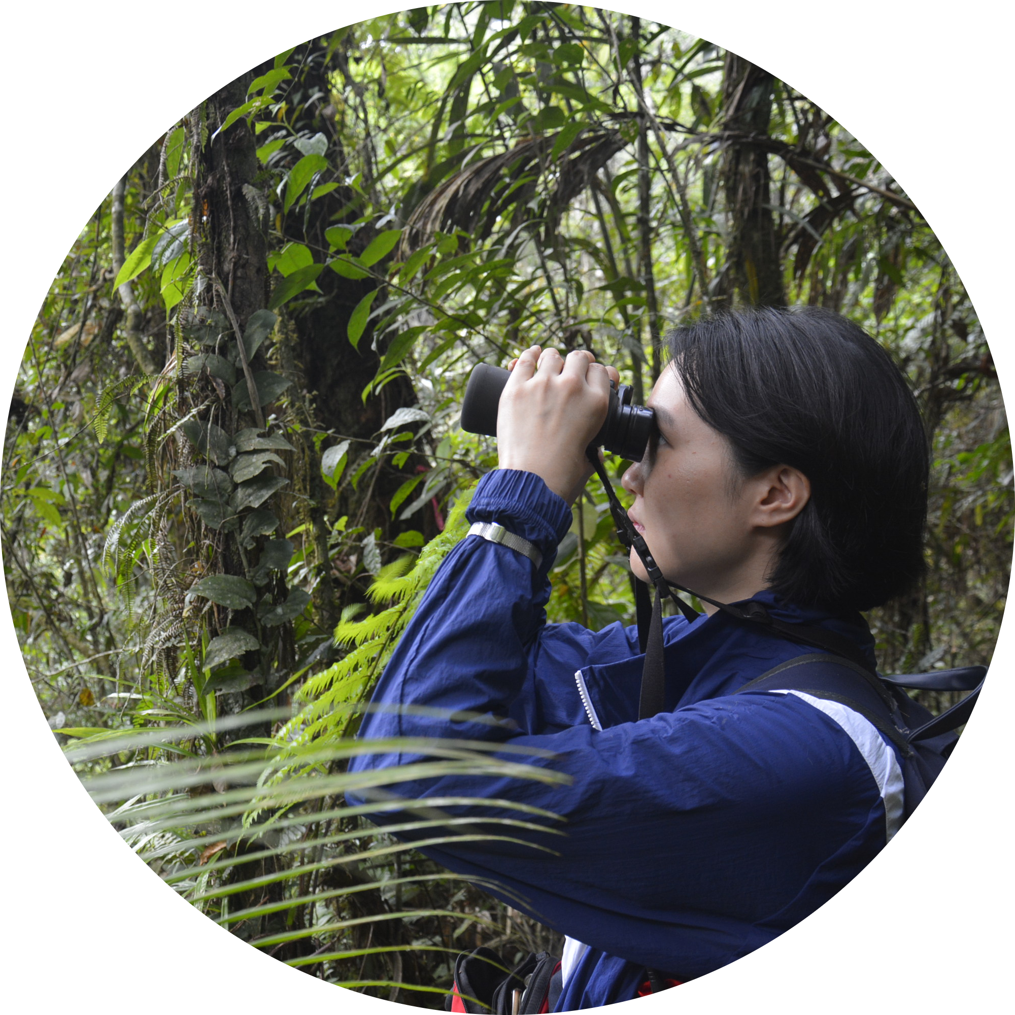 Go to the profile of Yoonjung Yi