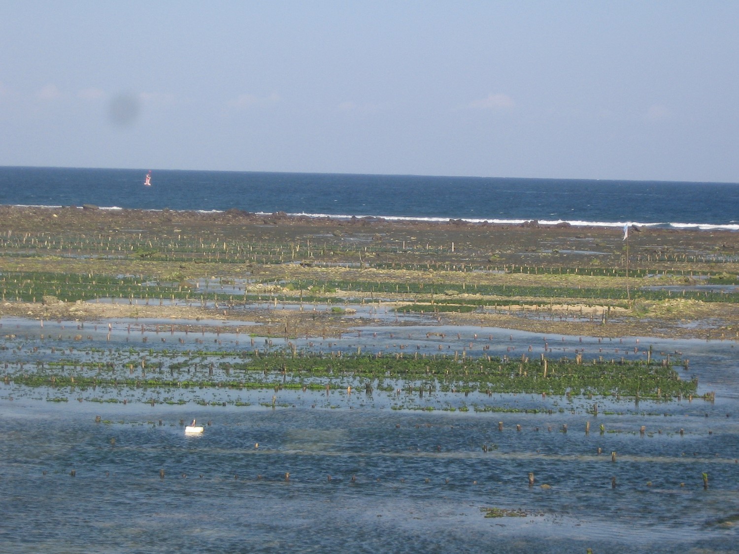 Paradise in danger: The unseen environmental disaster happening across Indonesia’s seas  