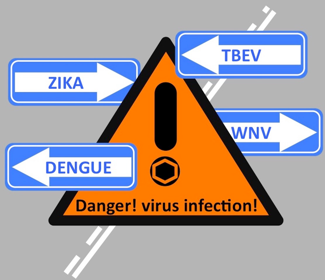 Alert! Virus infection!