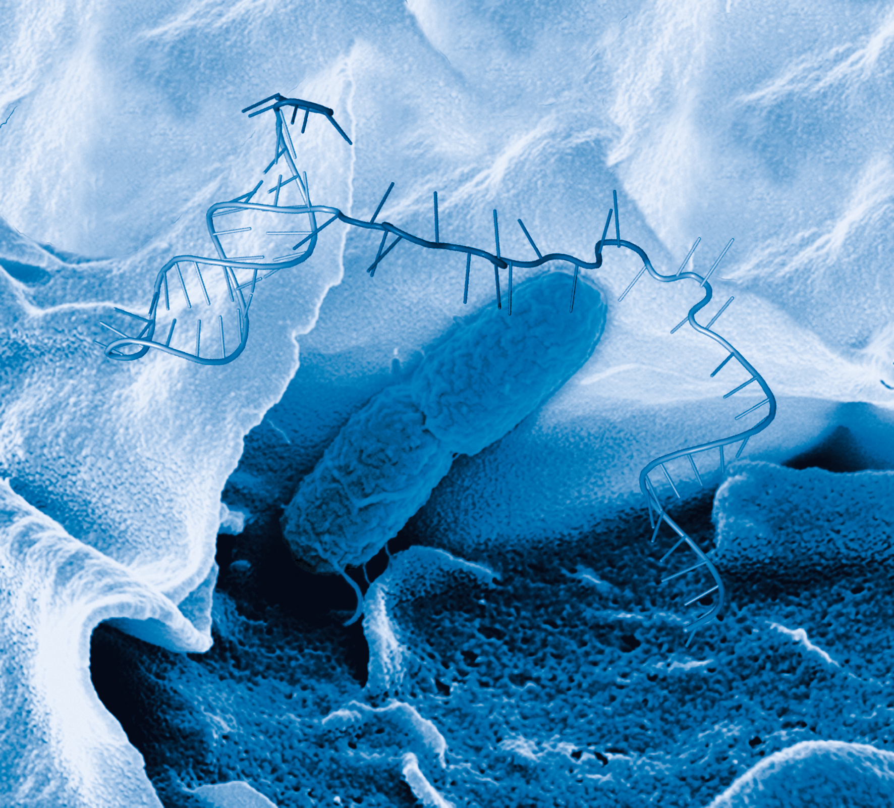 Leap forward in the fight against antibiotic resistance