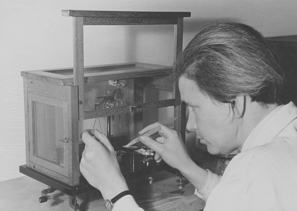 Ruth Beutler: the woman behind Karl von Frisch