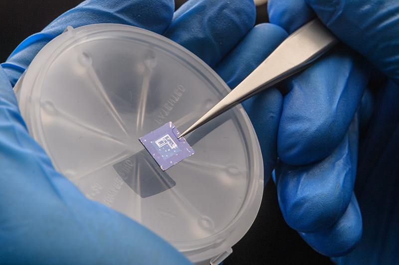 Two-dimensional transistors with reconfigurable polarities for secure circuits