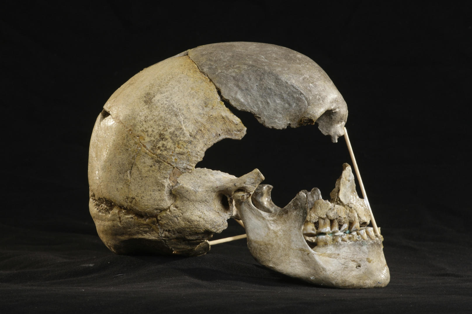 A bumpy ride to the re-discovery of Zlatý Kůň