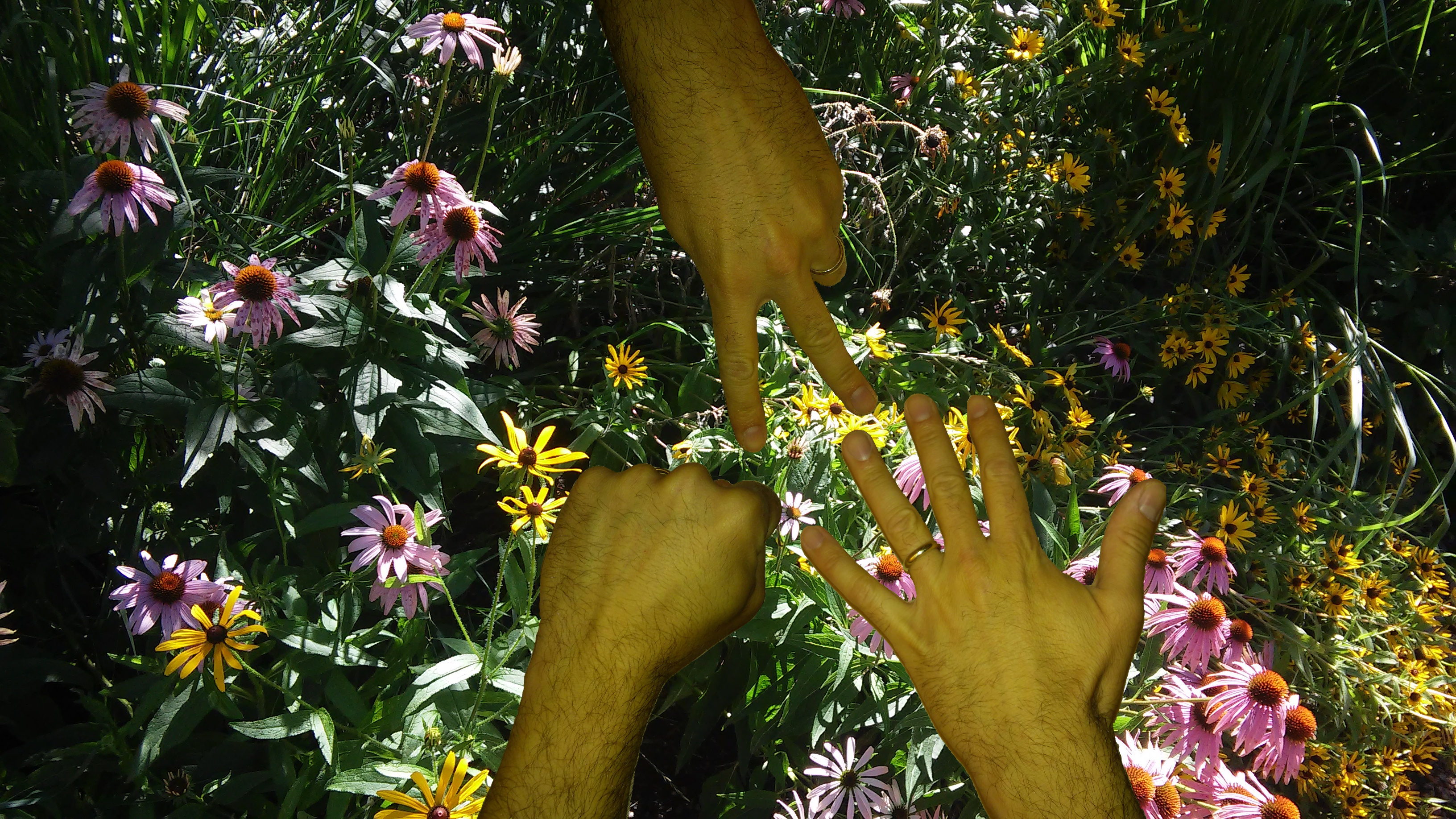 For ecological interactions, 3 ≫ 2