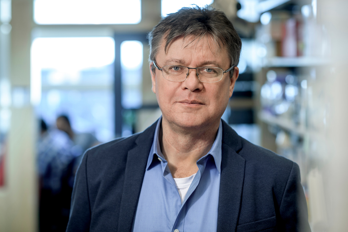 Go to the profile of Heiko Herwald