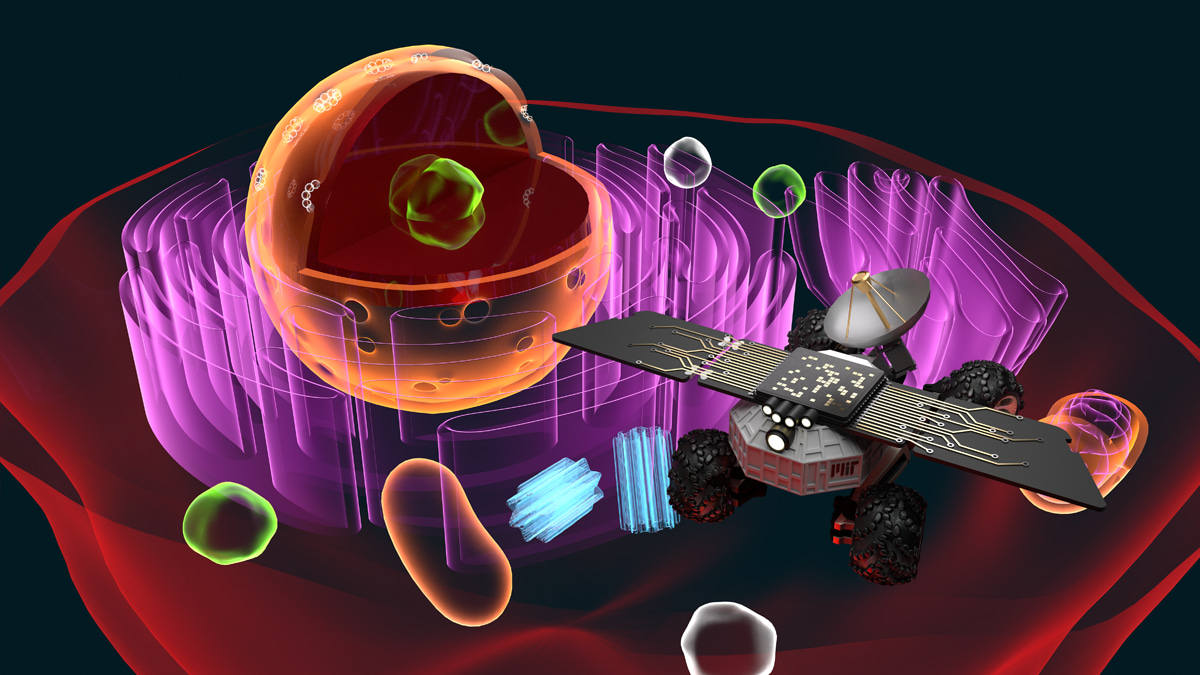 Cell Rover—a miniaturized magnetostrictive antenna for wireless operation inside living cells