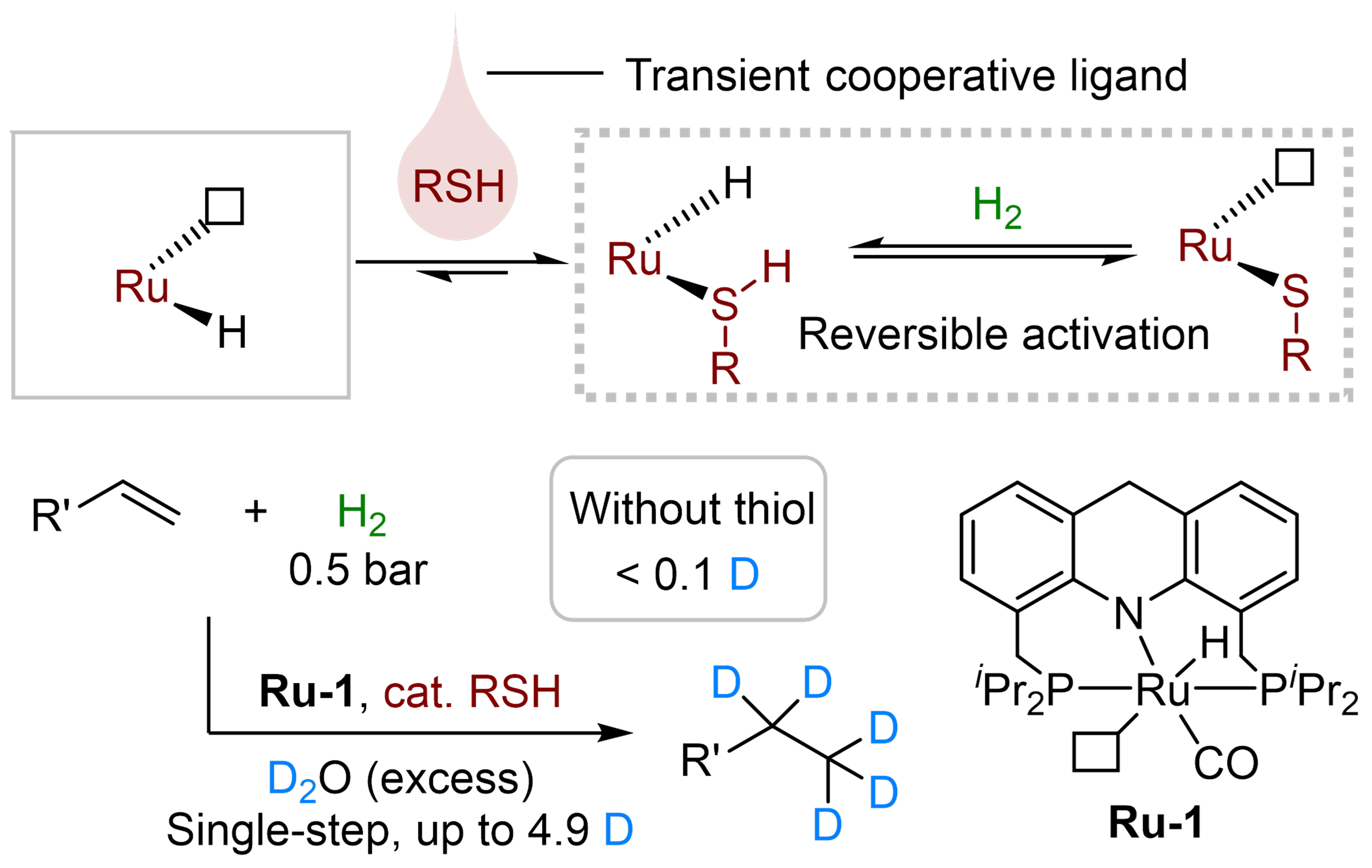 Hydrogenative alkene perdeuteration aided by a transient cooperative ligand