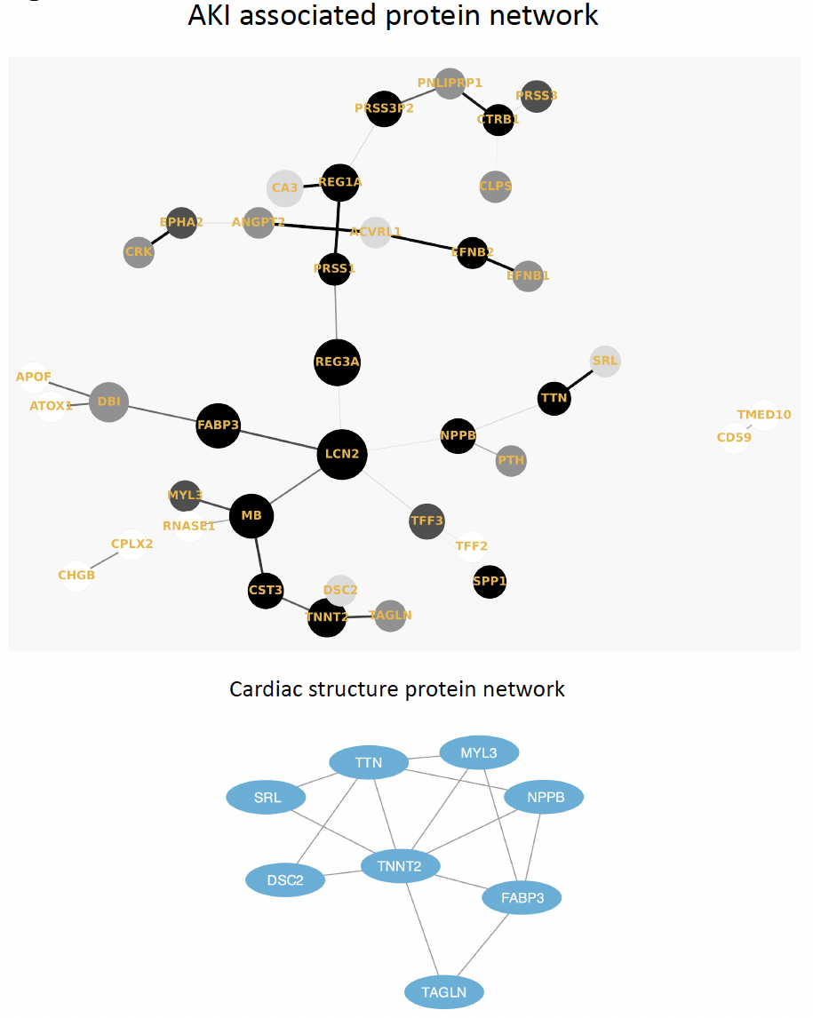 Proteomic analysis of COVID-19-associated Acute Kidney Injury is significantly driven by markers of hemodynamic instability, tubular injury and myocardial damage