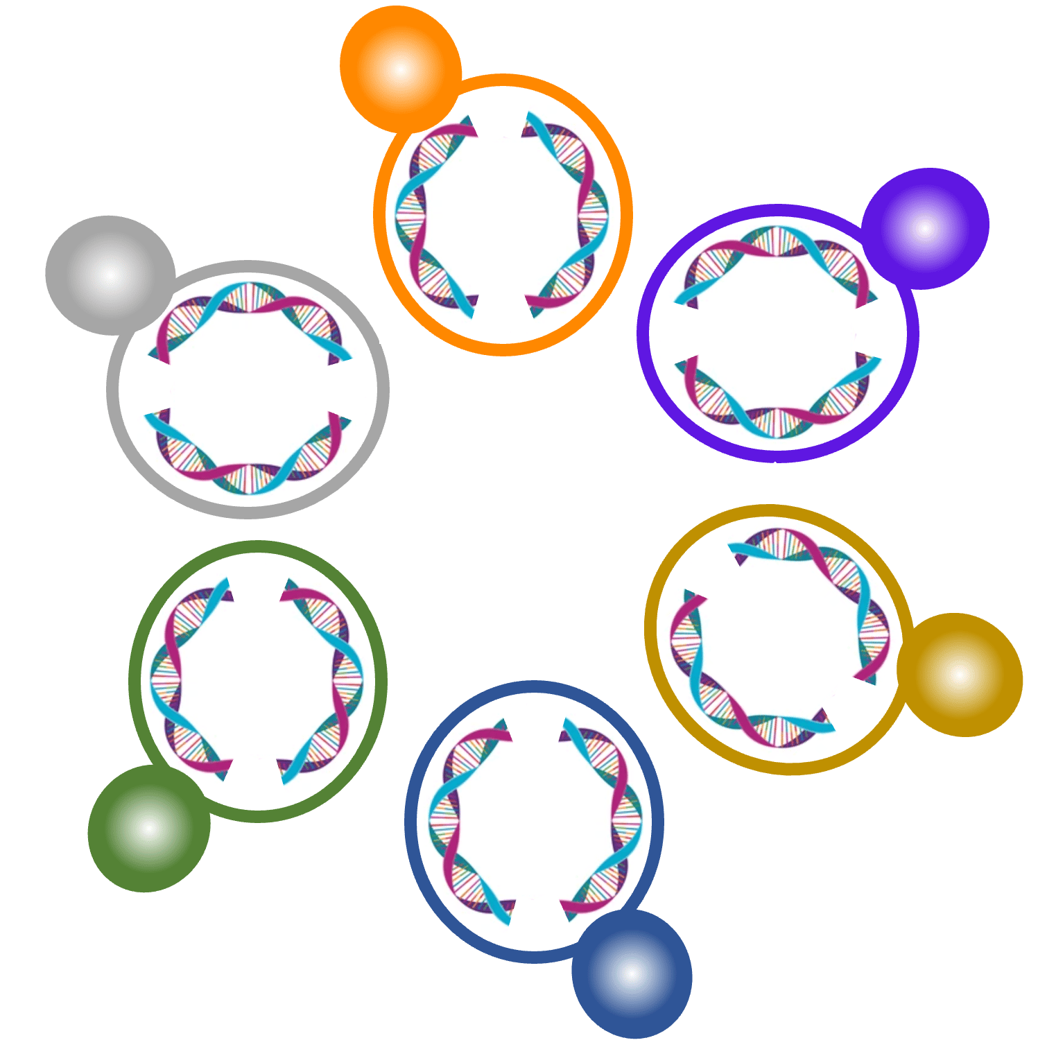 Everything you always wanted to know on genomes and their evolution