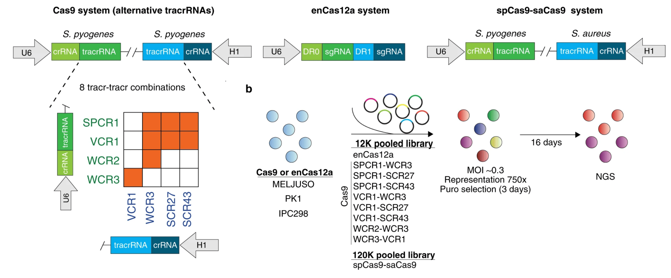 Comparative optimization of combinatorial CRISPR screens