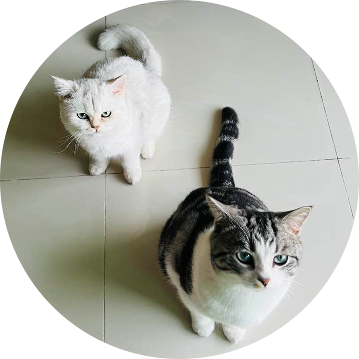 Go to the profile of Zhaofeng YE