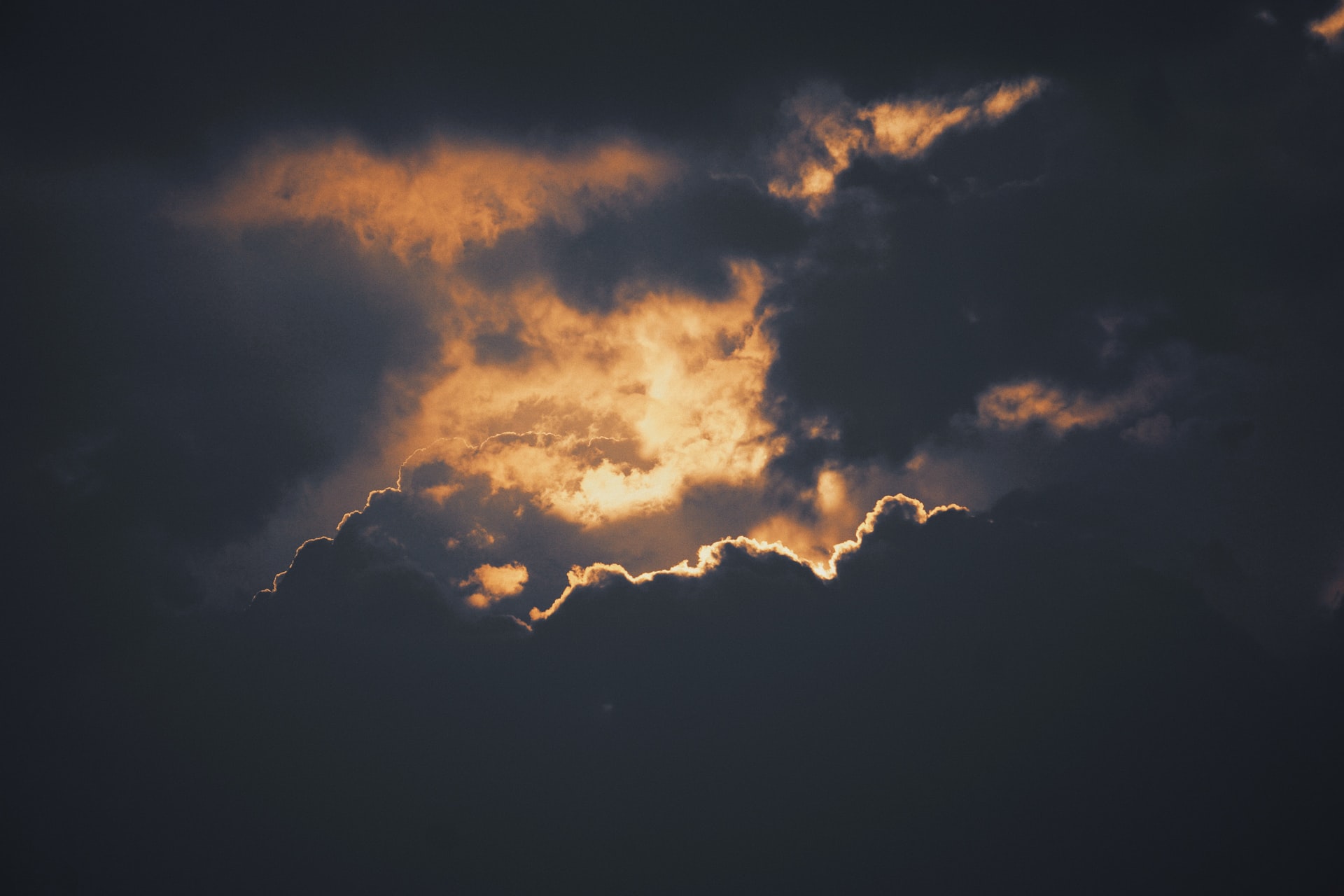 The Silver Lining of Pandemic in Biomedical Research
