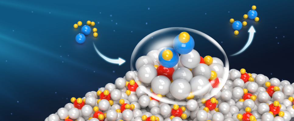 Complex hydrides at play in catalyzing ammonia synthesis