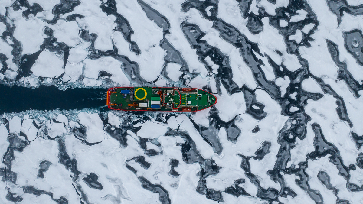 The Arctic sea-ice story is about more than disappearance