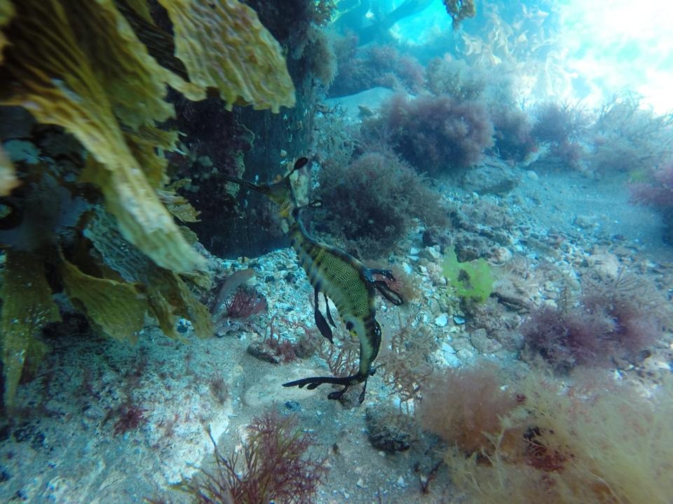 Go to the profile of Nathalie H