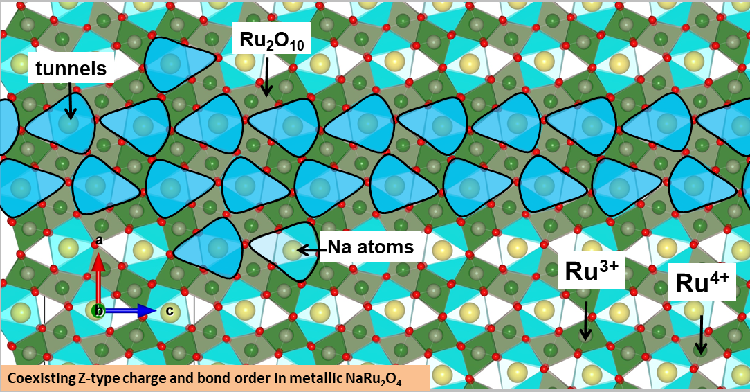 NaRu2O4: A unique Quantum-Material that hosts three different phases at once - all in one at room temperature!