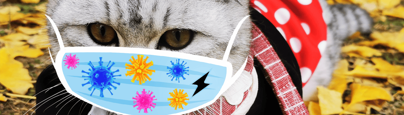 Self-powered air filter: protect us from the particulate matter pollution
