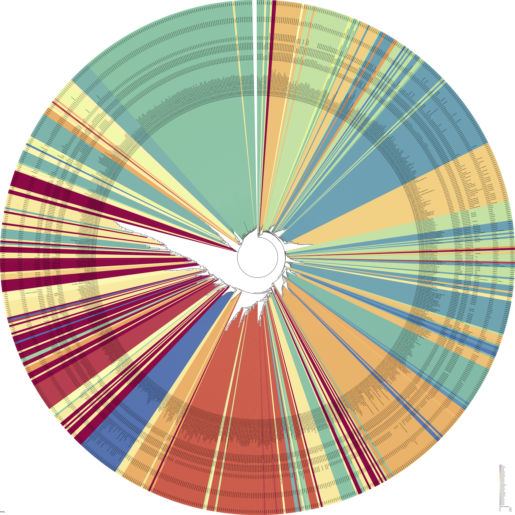 How Evolution Shapes and Conserves Genomic Signatures in Viruses: A Deeper Dive into Viral Adaptation