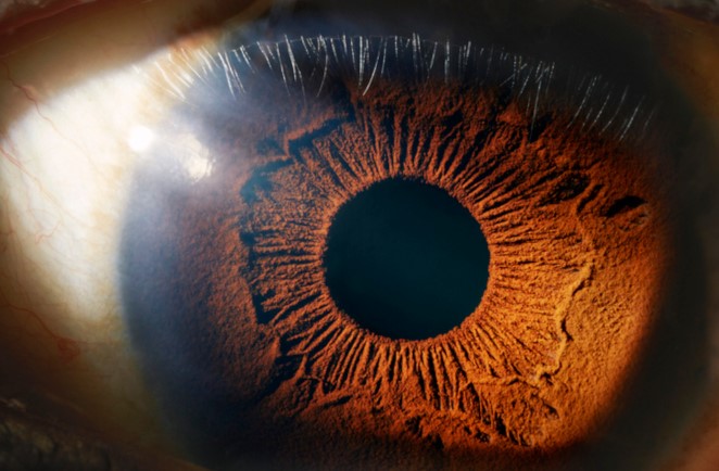 Call for papers: Ophthalmic microbiome