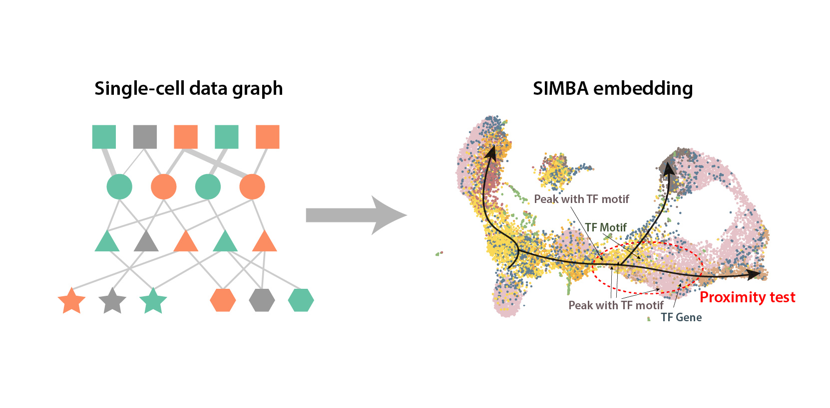  Building gene regulatory maps from single-cell data graphs