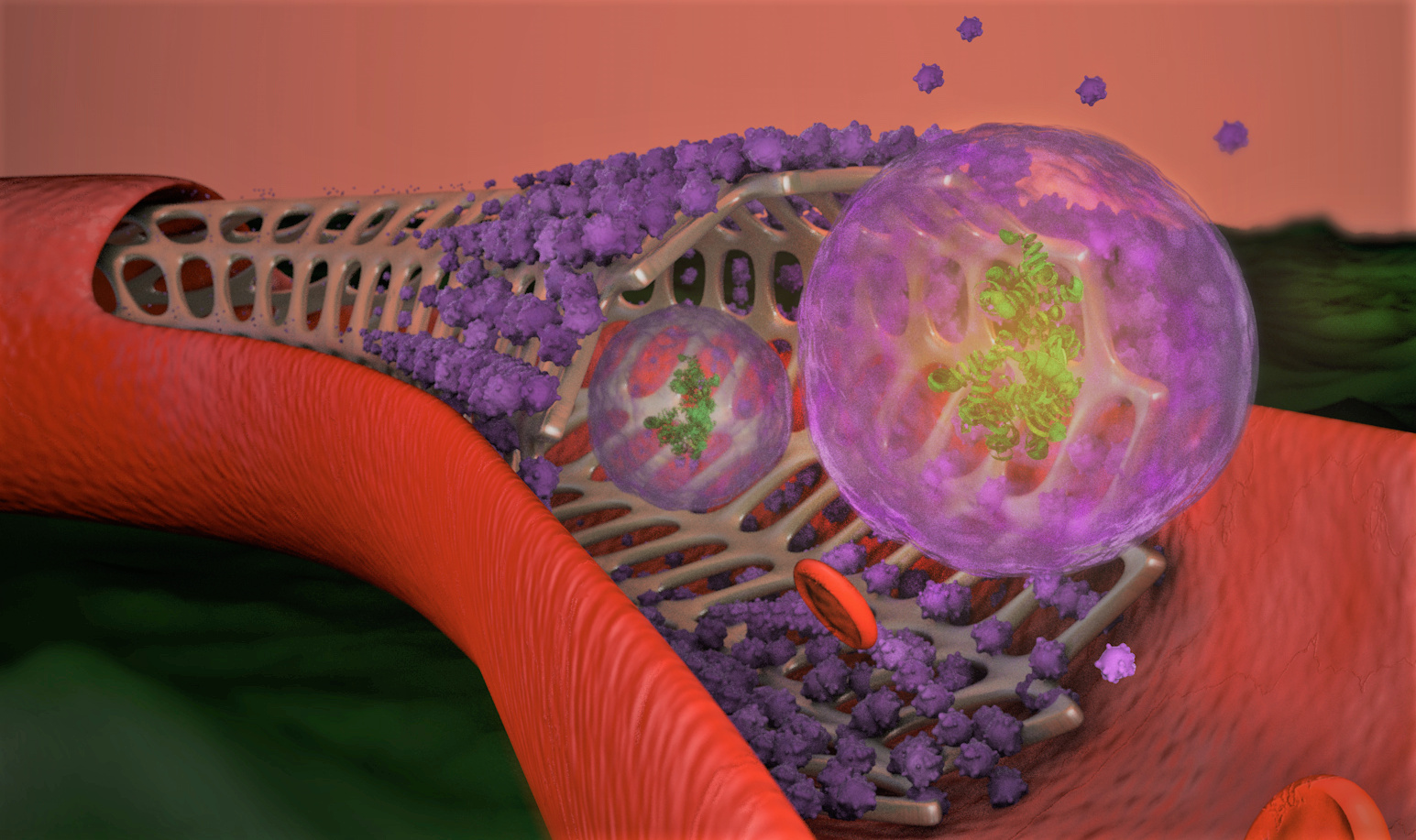 Exosome-eluting stent: a new biologic-device combination 