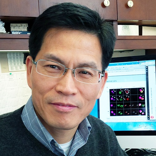 Go to the profile of Kyung Lee