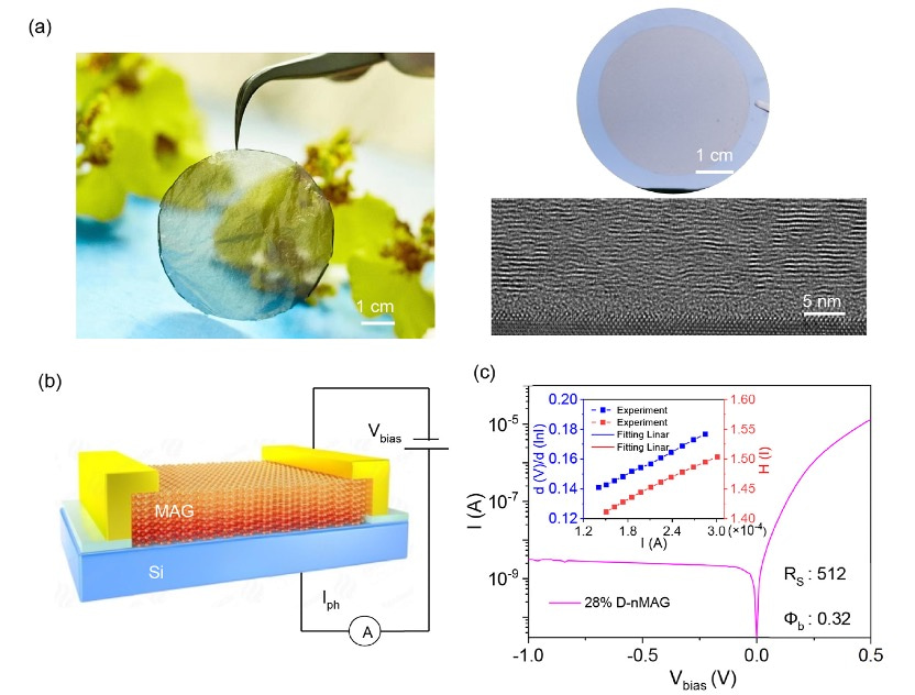 Defect-induced Photocurrent Gain for Carbon Nanofilm-based Broadband Infrared Photodetector