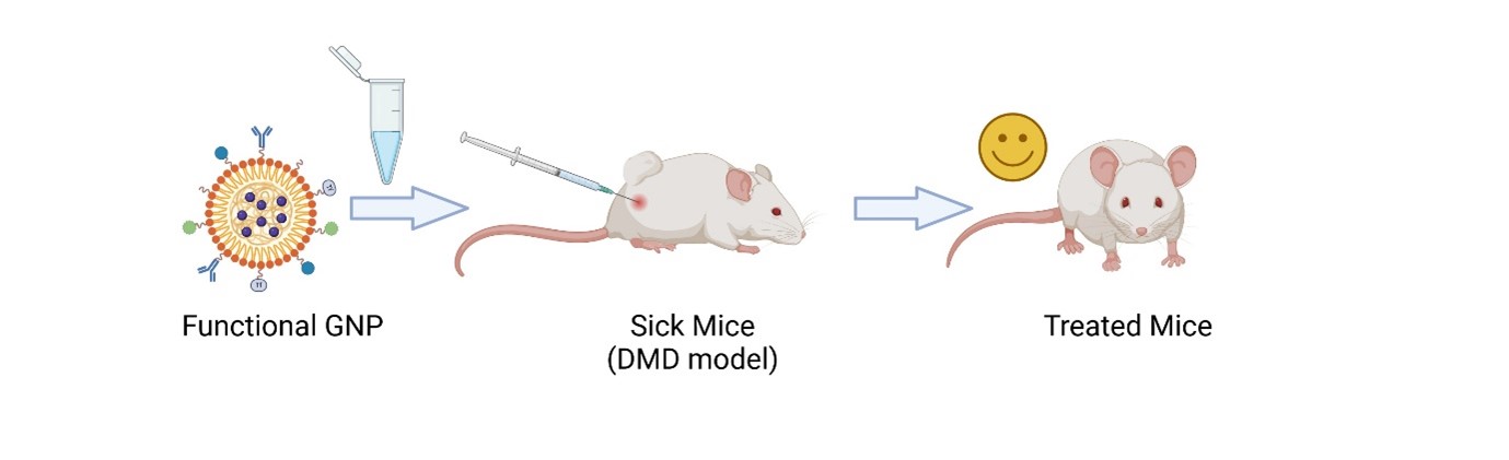 A Race Against Time: The Fight to Treat Duchenne Muscular Dystrophy