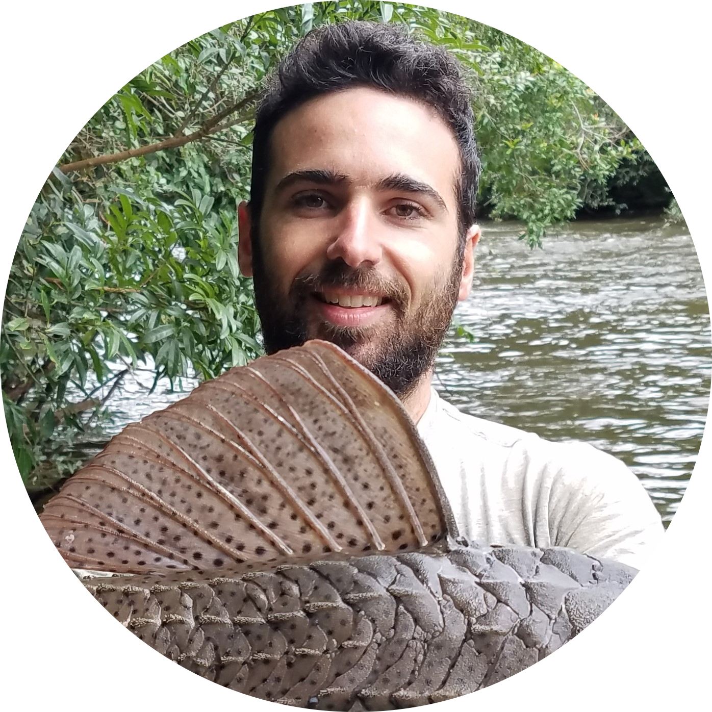 Go to the profile of Thiago B A Couto