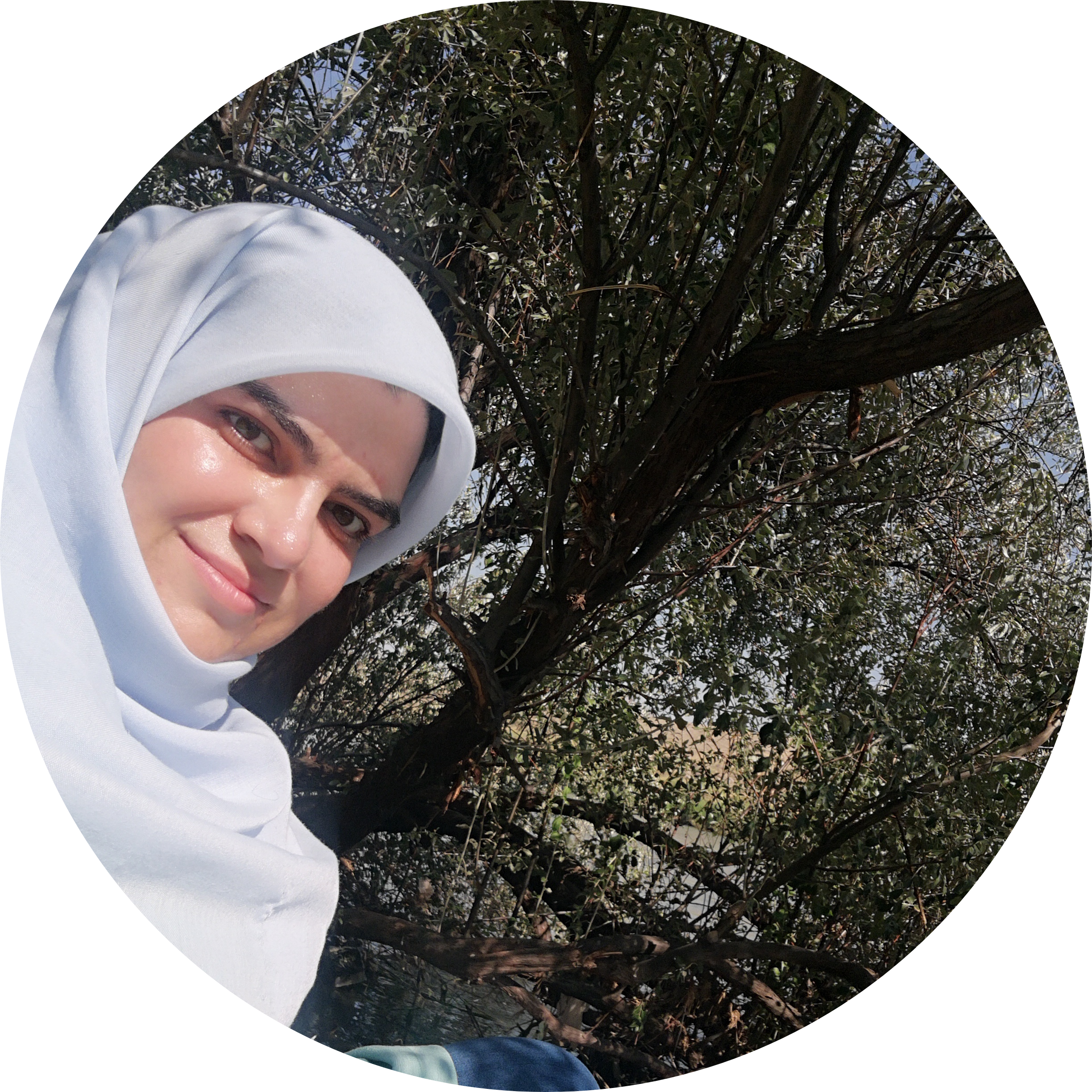 Go to the profile of Seyedeh Ozra Gheibi