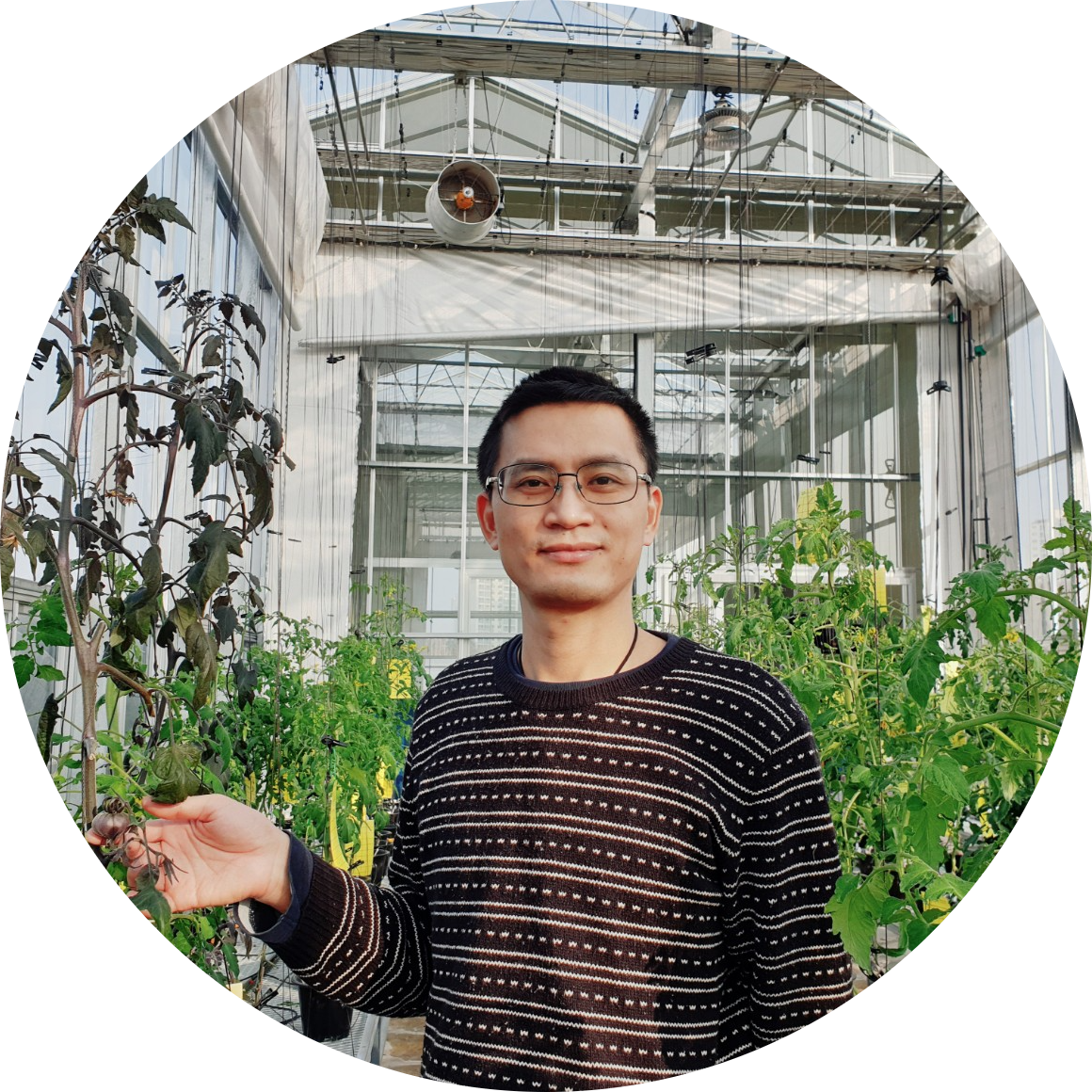 Go to the profile of Tien Van Vu