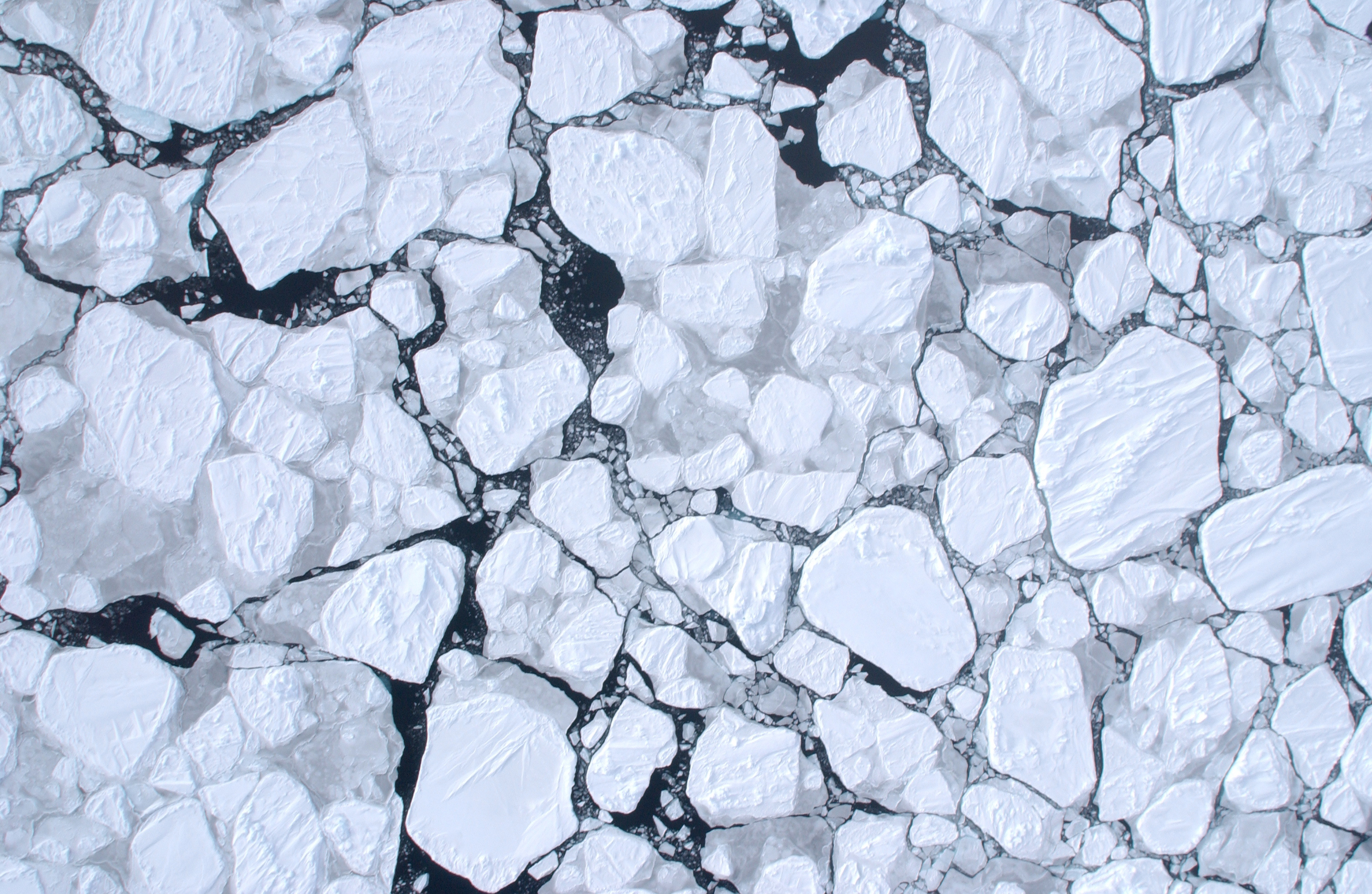 Has Antarctic sea ice entered a new regime? 
